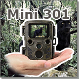 Охранная камера «Страж Mini-301»